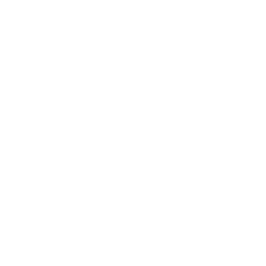 Brain Fog